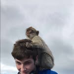 Logan Crouch - @cliffyspammm - Instagram