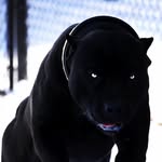 Logan Crowley - @logan_crowley1127 - Instagram