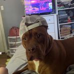 Logan Cummings - Facebook