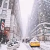 logan Cummings - @logan.cummings1 - TikTok
