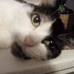 Logan Deal - @logan_deal0 - Instagram