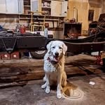Logan Deal - @logandeal9 - Instagram