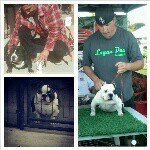 Ryan Hardy - @logandeesbullies - Instagram