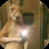 logan de leon - @logan8826 - TikTok