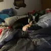 Logan Diaz - @marshallpitboss - TikTok