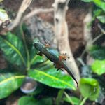 Logan Dickey - @logandickey02 - Instagram