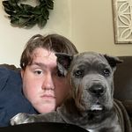 Logan Dodson - @papamyerss - Instagram