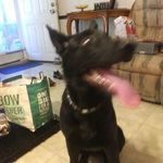 Logan Dooley - @logan.dooley.520 - Instagram