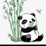 Logan Dooley - @shadow_panda09 - Instagram