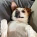 Logan Dotson - Facebook