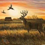 Logan🇺🇸 - @logandotyhunts - Instagram