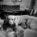 Logan Dougherty - Facebook