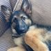 Logan Dougherty - Facebook