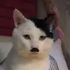 Logan dove - @socks.guy - TikTok