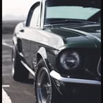 Logan Mettler Dove - @alphadove26 - Instagram