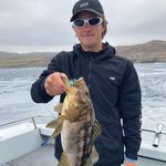 Frother - @logan_downing - Instagram