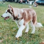 Logan Bjorn Duke - @cao.loganduke - Instagram