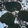 Logan Duke - @theloganduke - TikTok