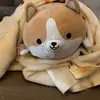 Logan Durst - @logan.durst0 - TikTok
