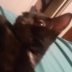 Logan Eckert - @poptartman54 - Instagram
