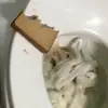 loganeddy - @loganeddy - TikTok