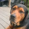 Logan English - @logan.english19 - TikTok