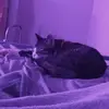 loganepps123 - @loganepps123 - TikTok