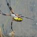 Logan Flagg - Facebook