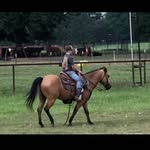loganfogle - @loganfogle8 - Instagram
