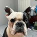 Logan Foley - Facebook