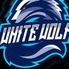 Logan foley - @whitewolf83 - TikTok