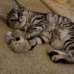 Logan Forrest - @loganforrest70 - Instagram