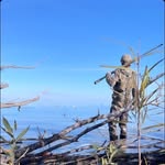 Logan Forrest - @loganforrest_3 - Instagram