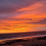 Logan Forster - @logan.forster.98 - Instagram