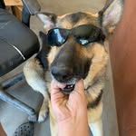 Logan Gable - @gable3026 - Instagram