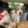 Logangable_0415 - @logan_gable_0415 - TikTok