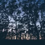 Logan George - @logangeorge.5 - Instagram