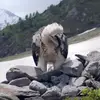 Logan George - @logan.george04 - TikTok