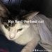 Logan Gillespie - Facebook
