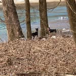 Logan Gower - @logangower25 - Instagram