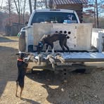 Logan Gower - Facebook