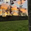 LG⚡️ - @logan.griffiths8 - TikTok
