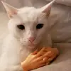 Logan - @logangriffith040 - TikTok