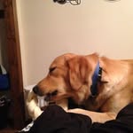 Logangroover30 - @logangroover30 - Instagram