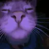 Logan Guinn625 - @loganguinn625 - TikTok