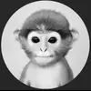 logan_haase - @logan_haase - TikTok