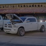 Logan Haase - @logan_haase_ - Instagram