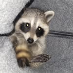 Logan Hamrick - @loganhiterhamrick - Instagram