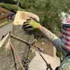 Logan Arbaugh - @loganarbaugh - TikTok