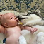 Logan & Harley 🐕 🍼 - @loganlovesharley - Instagram